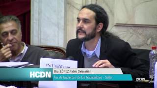 Diputado López Pablo Sebastián  Sesión 01062016 [upl. by Yemac276]