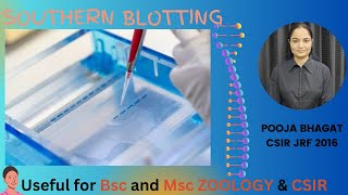 Southern blotting DNA blotting [upl. by Market]