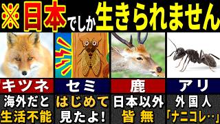 「日本以外で生きていけない…」訪日外国人が知らなかった日本の生き物７選【ゆっくり解説】【海外の反応】 [upl. by Dlanor563]