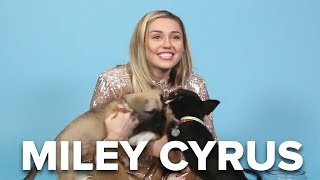 Miley Cyrus Plays With Puppies While Answering Fan Questions [upl. by Eittocs]