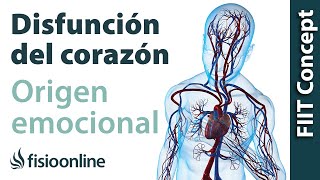 Origen emocional de la disfunción del corazón y sistema cardio circulatorio [upl. by Nonnek754]