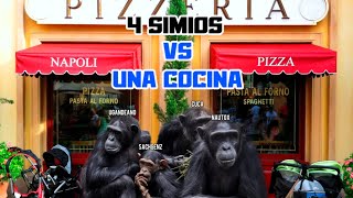 4 Simios VS Cocina basica [upl. by Elsilrac242]