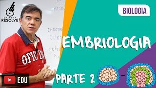 DESENVOLVIMENTO EMBRIONÁRIO  EMBRIOLOGIA Parte 02 [upl. by Adnarom538]