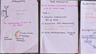 Cholecystitis Explained In Hindi  Cholecystitis Kya hota Hai  Medical Polymath [upl. by Alhan]