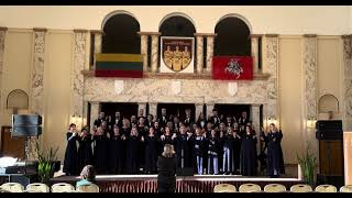 Choras Sonoros  konkursinis pasirodymas Cantate Domino festivalyje [upl. by Katharina]