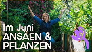 Was man im Juni noch säen und pflanzen kann  Garten Tipps [upl. by Cavit]