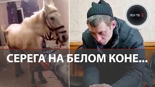 На коне в спальню к жене  Пьяное поздравление Сереги обернулось арестом и потерей квартиры [upl. by Fritz]