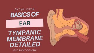 Tympanic Membrane in Detail  External Ear  ENT  ENTopic Vision [upl. by Atile]