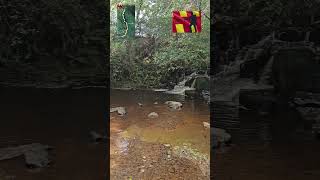 Actively Northumberland  Hareshaw Linn Waterfall Walk shortsvideo short shorts waterfall [upl. by Edvard752]