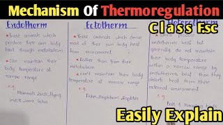 Mechanism Of Thermoregulation  Ectotherm  Endotherm  Heterotherm  Poikilotherm  Homeotherm [upl. by Annotahs]