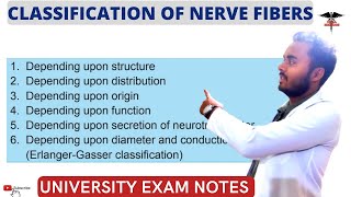 Classification of Nerve Fibres  CNS Physiology [upl. by Murphy]