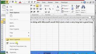 How to Fit Long Text in Excel  Microsoft Excel Help [upl. by Nnylirehs]