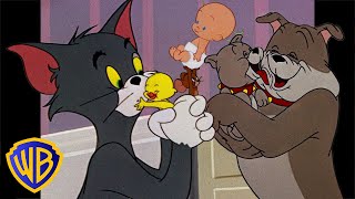 Tom amp Jerry  Family Time  Classic Cartoon Compilation  wbkids​ [upl. by Aniela]