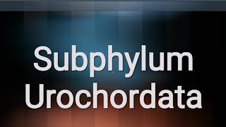 Subphylum urochordata and cephalochordata [upl. by Yobybab]