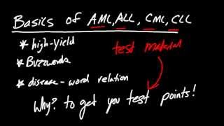 AML ALL CML CLL Buzzwords TO GET YOU POINTS [upl. by Bivins873]