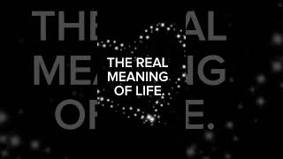 THE REAL MEANING OF LIFE [upl. by Ulrica]