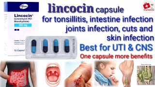 Lincocin capsule Uses Benefits Side Effects contraindication Drug Medicines [upl. by Ardiekal]