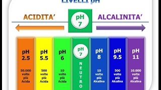 5 alimenti che rendono alcalino il nostro corpo [upl. by Teodoro]