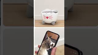 💧 Keep your cats water fresher for longer with PIXI™ Smart Fountain [upl. by Pirbhai]