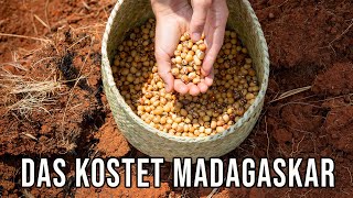 Madagaskar Reisekosten 🇲🇬Was kostet ein Madagaskar Urlaub [upl. by Leahkim]