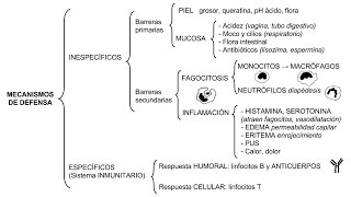 Inmunología 01  Mecanismos de defensa inespecíficos y específicos [upl. by Anairuy]