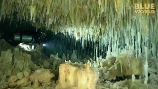 Mysterious Crystal Caves of Abaco  JONATHAN BIRDS BLUE WORLD [upl. by Yebot470]