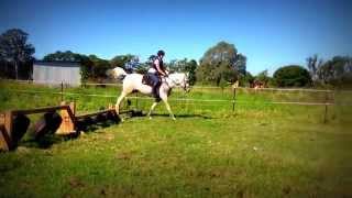 Weiss Performance Horses Camp 2  Cross Country [upl. by Hgielsel]