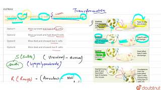 Heat killed S cells alongwith live R cells of Diplococcus pneumoniae were injected in mice [upl. by Trevor473]