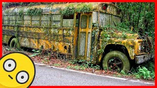 Abandoned school bus Old abandoned rusty buses [upl. by Rudolf]