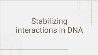 Stabilizing interactions in DNA Microbiology Biochemistry [upl. by Spooner189]