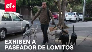 Captan a paseador de perros con más de 20 lomito en CDMX  Despierta [upl. by Biddle]