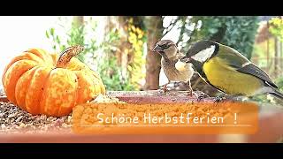 Schöne Herbstferien [upl. by Drofkcor]