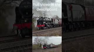 Scot up Hatton shorts royalscot hatton [upl. by Anirehs561]