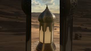 Qasr Al Sarab Anantara Dubai shorts youtubeshorts youtube [upl. by Kentigerma]