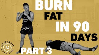 30 Minutes of SUFFERING – Fat Burning Muay Thai Home Workout  Finish Line – 90 Day Challenge Part 3 [upl. by Ahsatin]