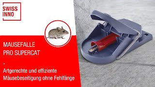 Mausefalle PRO SuperCat giftfrei amp effektiv von SWISSINNO [upl. by Norby]