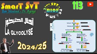 113 La Glycolyse 2024 [upl. by Sherl109]