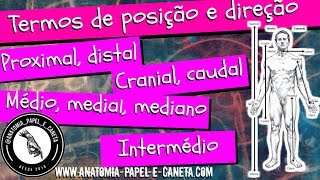 Termos anatômicos de POSIÇÃO e DIREÇÃO  MEDIAL MÉDIO INTERMÉDIO MEDIANO [upl. by Anav]