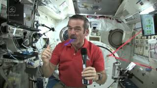 How To Brush Your Teeth In Space  Video [upl. by Aznofla]