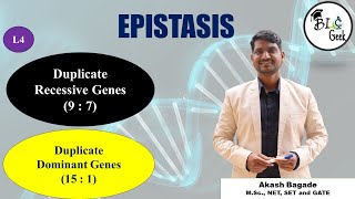 Genetics Duplicate Recessive and Duplicate Dominant Epistasis BScMSc SPPU Life Science [upl. by Hagan]