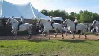 Ebersol Boys Quadrille [upl. by Rebekkah]