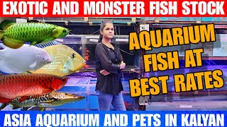 Exotic And Monster Fish Stock  At Asia Aquarium And Pets In Kalyan [upl. by Linn]