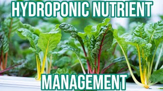 The EASIEST way to manage nutrients in hydroponics [upl. by Nessa159]