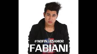 Fabiani  No Finjas Amor [upl. by Rawlinson313]