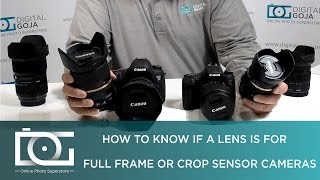 FULL FRAME LENS ON CROP SENSOR  Difference Between a Lens for Full Frame or Crop Sensor Cameras [upl. by Ldnek272]