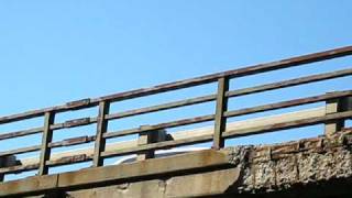 Crumbling bridge over Marsh Road at route 490 in Pittsford NY [upl. by Itsur682]