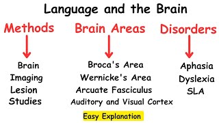 Language and the BrainNeurolinguisticsPsycholinguistics linguistics [upl. by Lucilla]