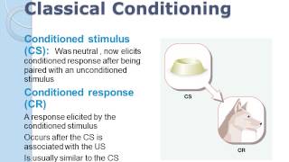 Classical Conditioning Concepts  Acquisition and Temporal Contiguity [upl. by Nwahshar]