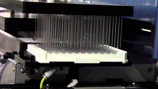 RapidWash Microplate Washer Close Up [upl. by Meesan155]