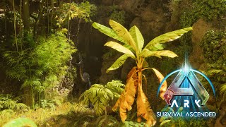 The INDORAPTOR is Guarding the CAVE ARK Survival Ascended Episode 20 [upl. by Rocca]